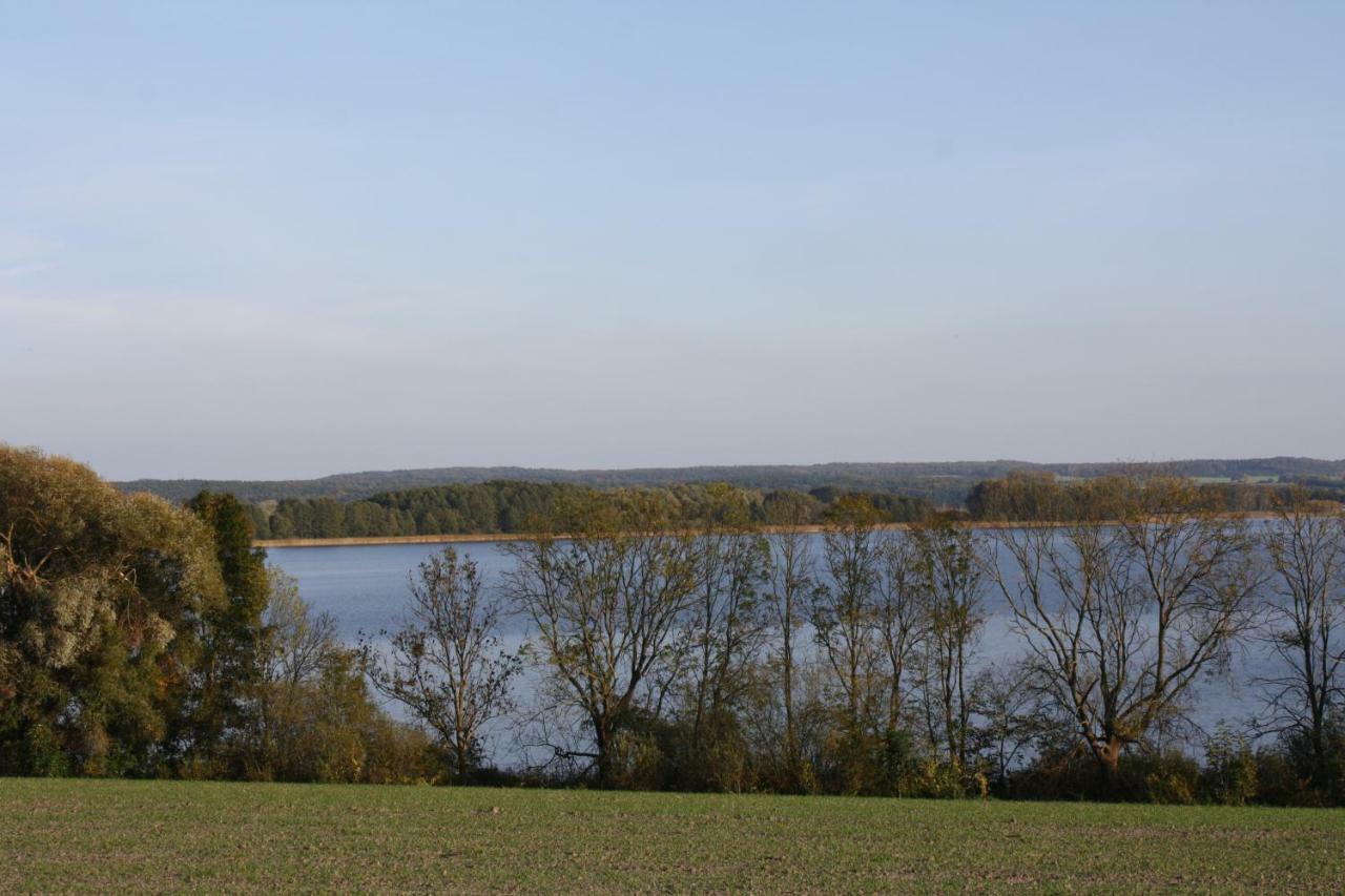 Landpension Zum Schweizerberg Neugrimnitz ภายนอก รูปภาพ