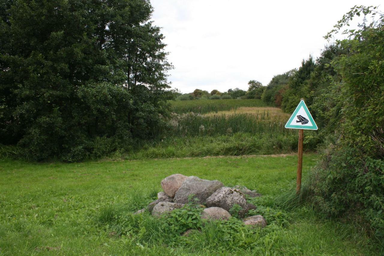 Landpension Zum Schweizerberg Neugrimnitz ภายนอก รูปภาพ