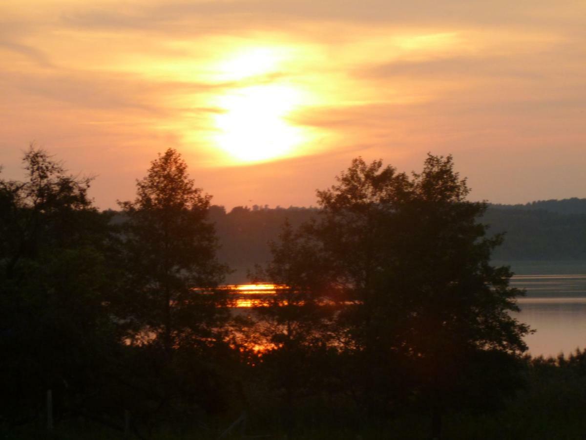 Landpension Zum Schweizerberg Neugrimnitz ภายนอก รูปภาพ