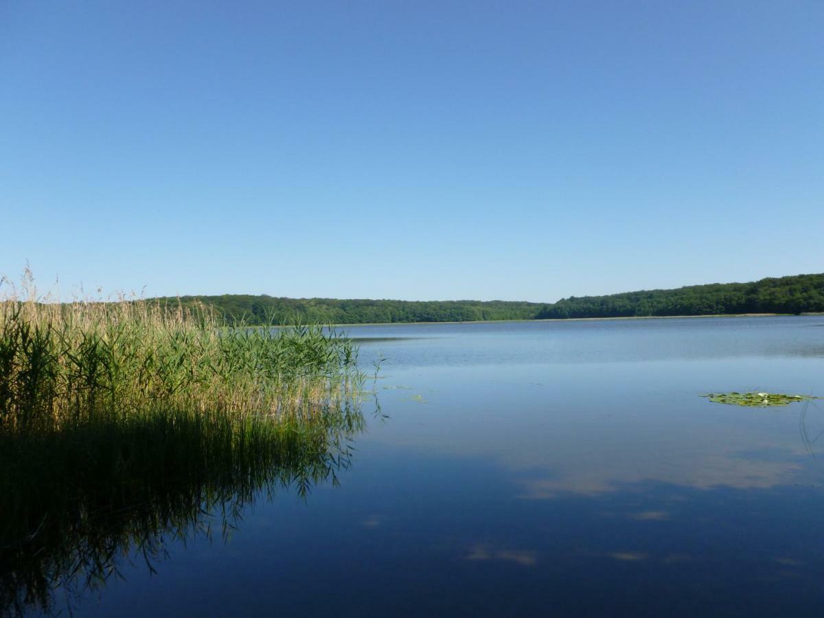 Landpension Zum Schweizerberg Neugrimnitz ภายนอก รูปภาพ