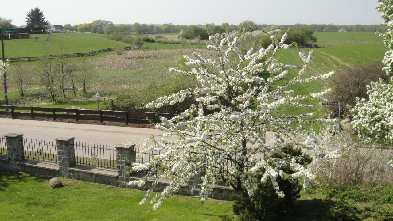 Landpension Zum Schweizerberg Neugrimnitz ภายนอก รูปภาพ