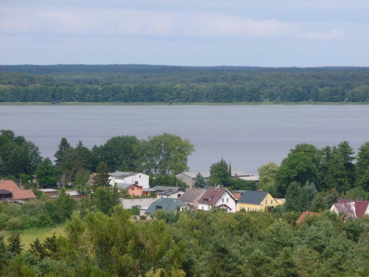 Landpension Zum Schweizerberg Neugrimnitz ภายนอก รูปภาพ