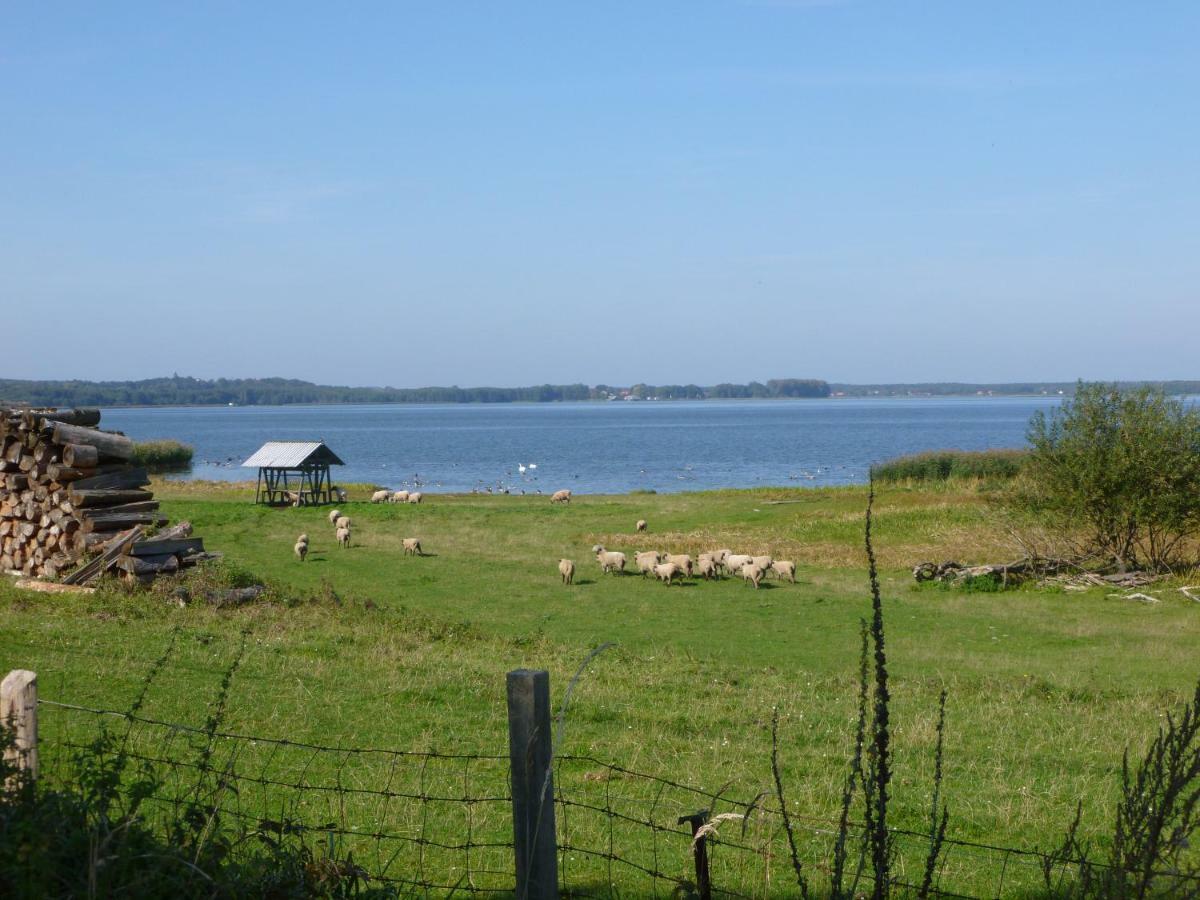 Landpension Zum Schweizerberg Neugrimnitz ภายนอก รูปภาพ